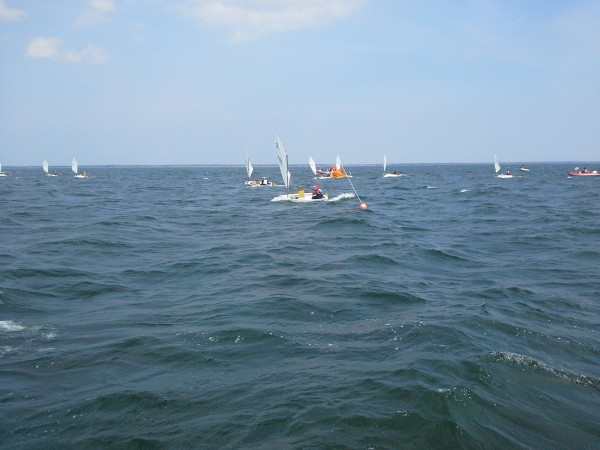 14303928502731689290210