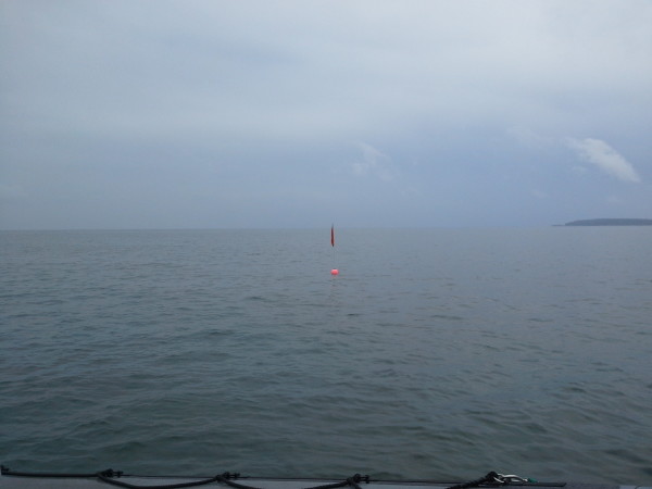 14304777283641063847537