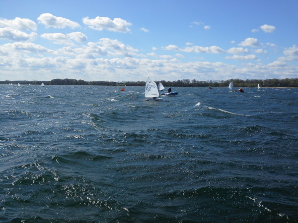 1430556631448-1716143631