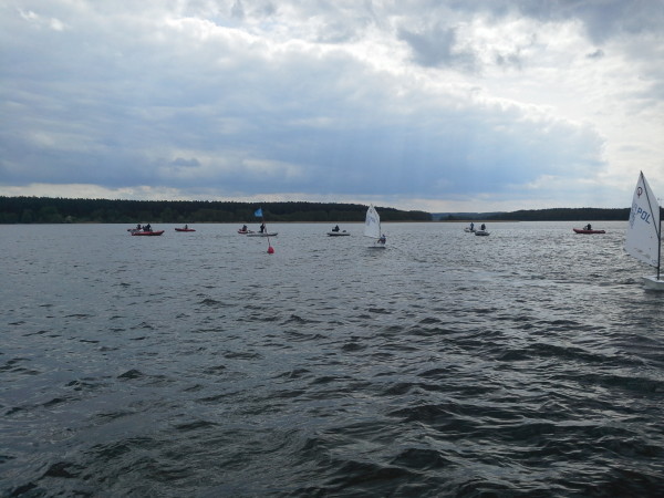 1431084031782-384527448