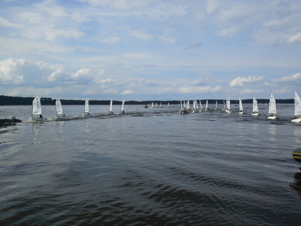 1431094184863-545201673