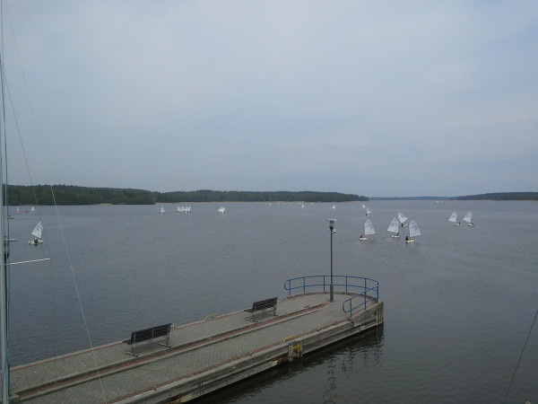 1431162623645667731002